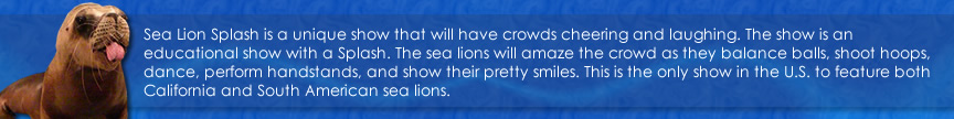 sea lion splash show