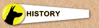 History and Bio on Owner, Carolyn Lantz