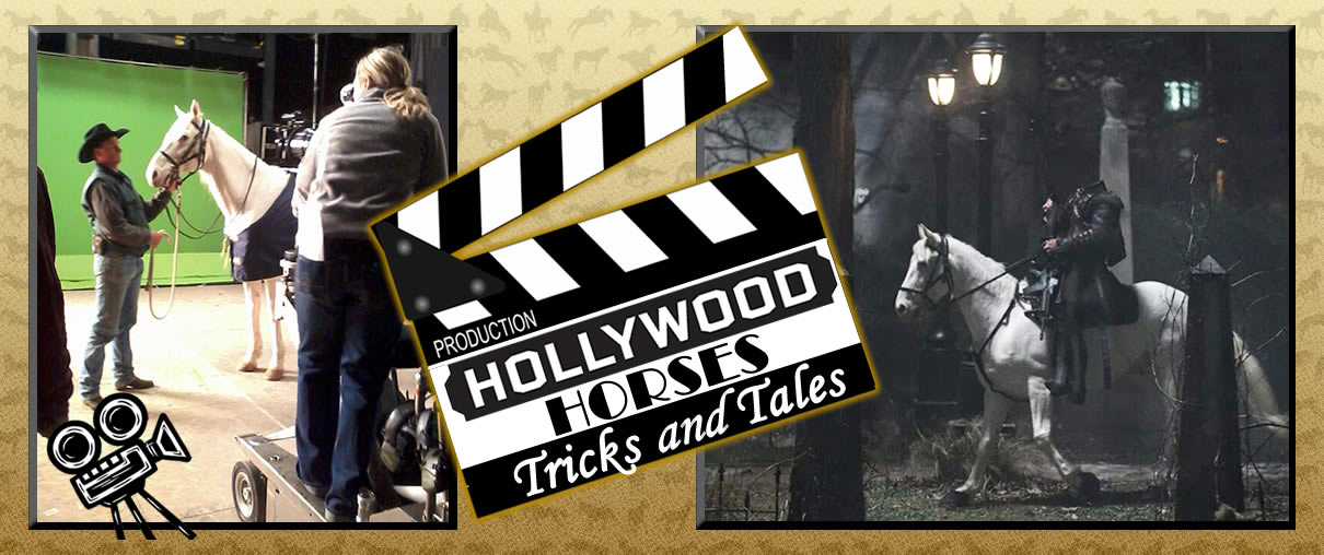 Hollywood Horses Tricks and Tales